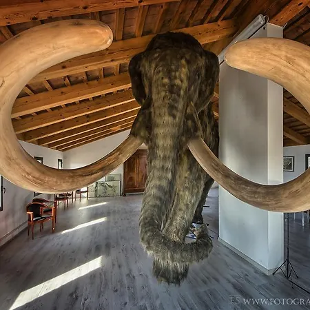 Bed & Breakfast Il Fagiano Sette Polesini