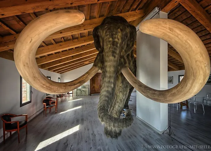 ベッド・アンド・ブレックファスト Il Fagiano Sette Polesini