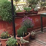 Locanda Il Fagiano Bed & Breakfast