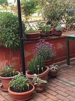 Il Fagiano Bed & Breakfast