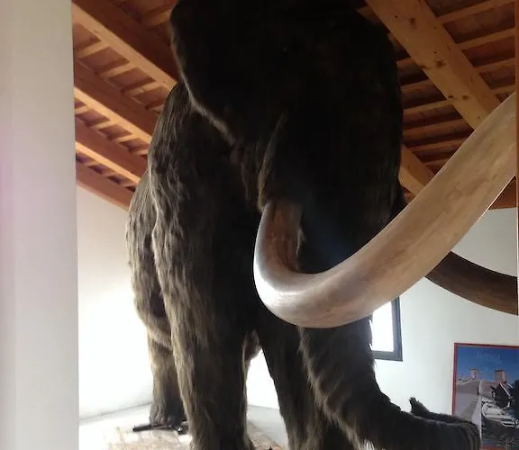 Bed and breakfast Il Fagiano 3*